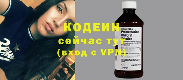 крисы Баксан