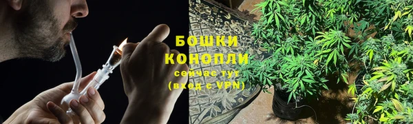 ПСИЛОЦИБИНОВЫЕ ГРИБЫ Балахна
