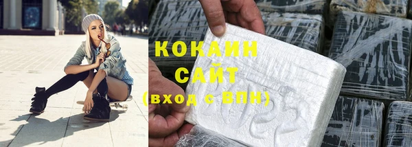 крисы Баксан