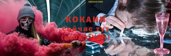 шишки Балабаново