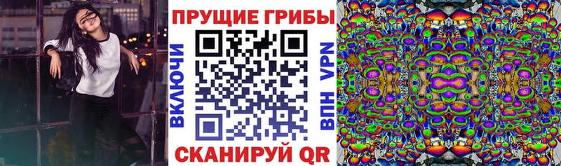 Псилоцибиновые грибы прущие грибы  закладки  Галич 
